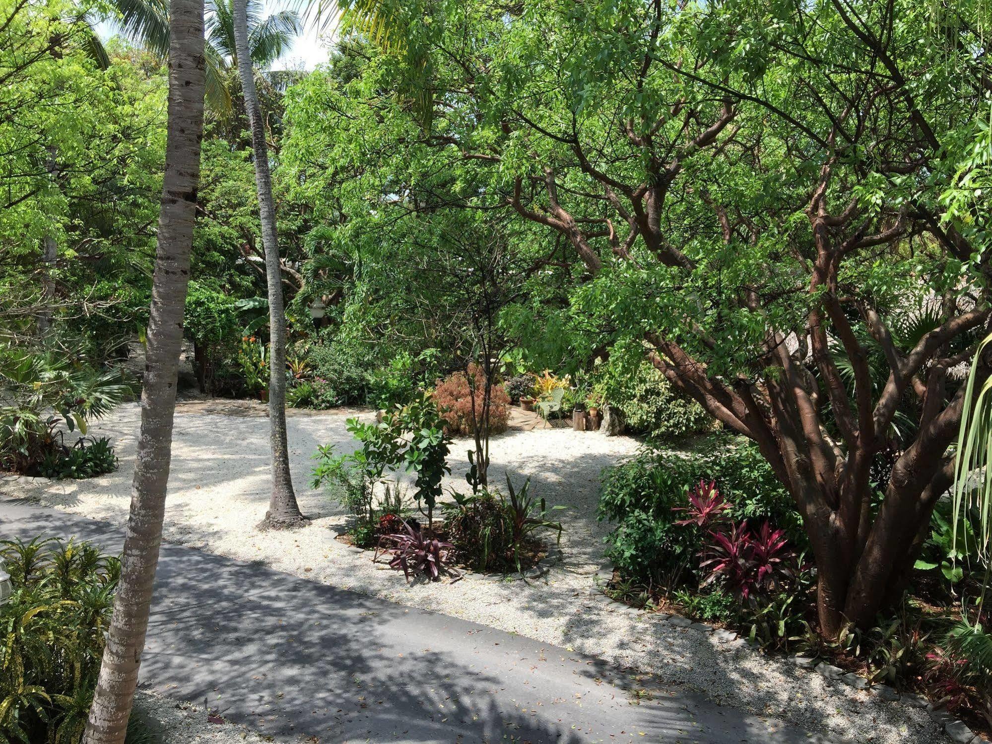 Bay Harbor Lodge คีย์ลาร์โก ภายนอก รูปภาพ